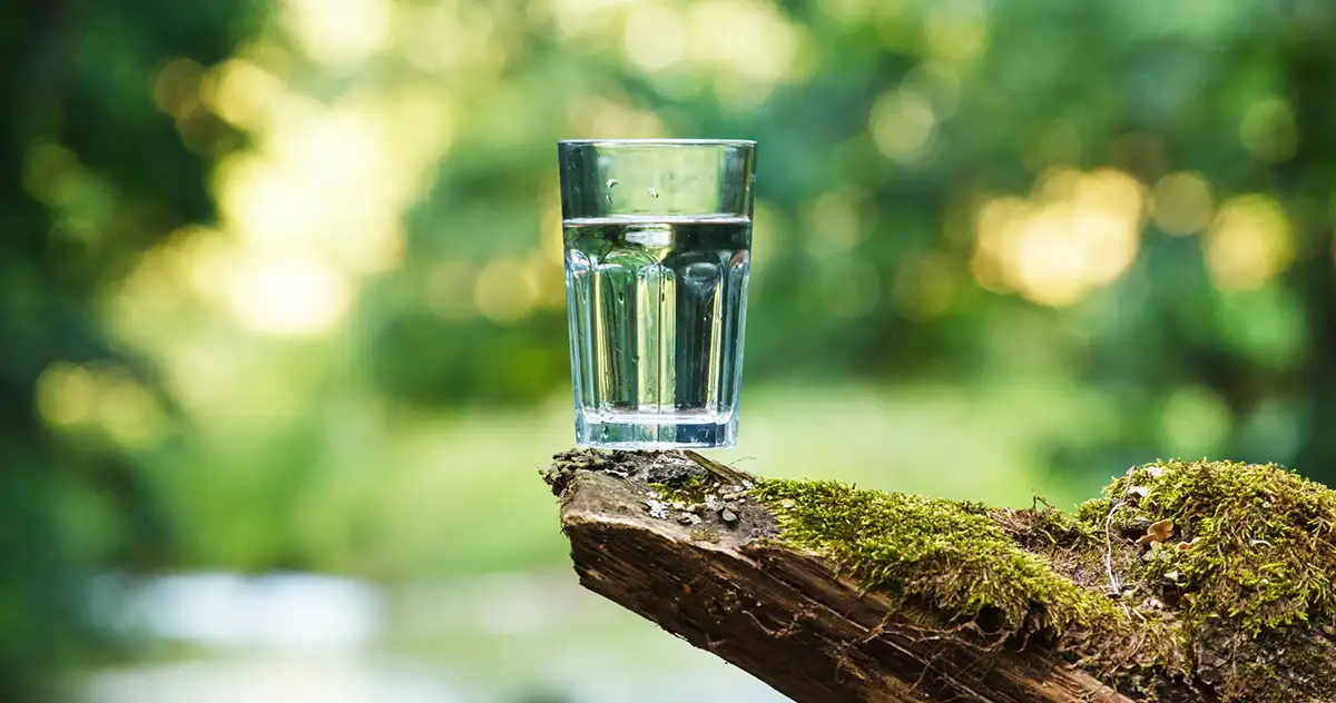 What Makes EcoWater Different From Other Water Filtration Systems